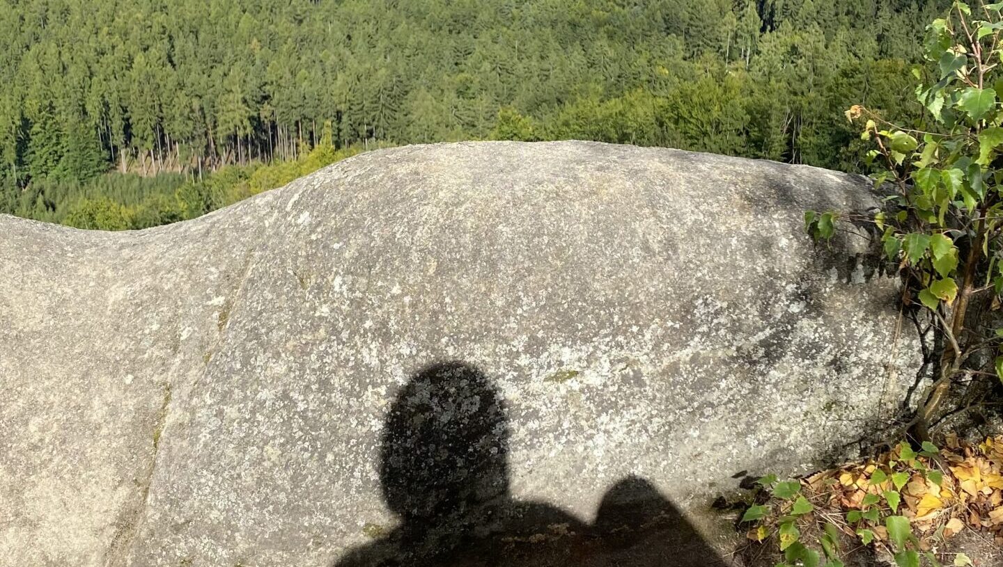 Warum zieht es manche von uns ständig in die Natur?